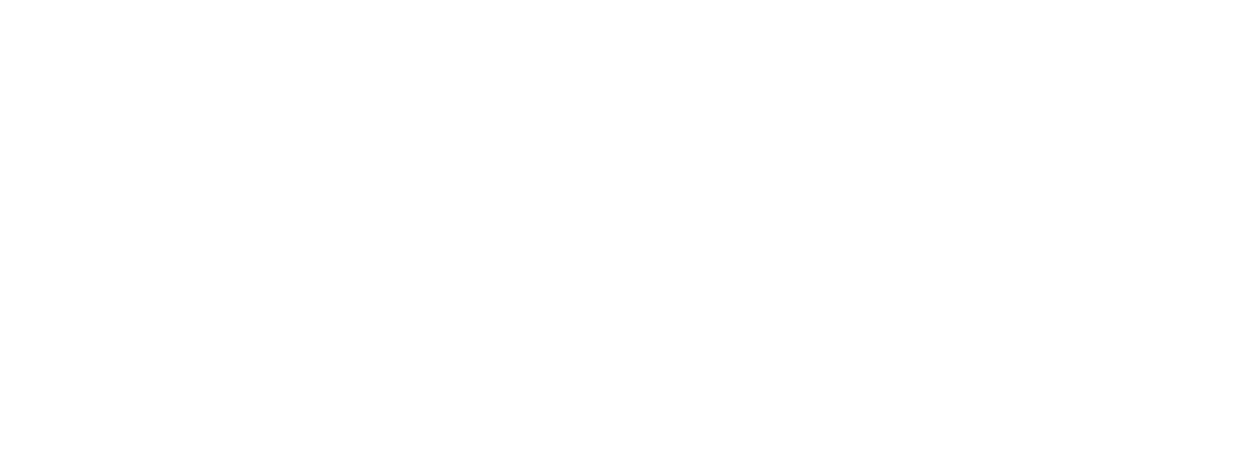 Plan International logo